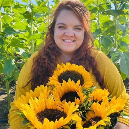 Sunflowers